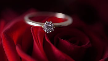 diamond Ring, ring, diamonds, wedding Ring, engagement Ring, gold, jewellery, red Rose, love, in Love, wedding