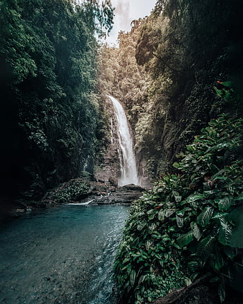 vodopády, Brazilský deštný prales, klidná krása, Cestování přírody, svěží les, kaskádový vodopád, tropické krajiny, přírodní scenérie, zeleň, venkovní dobrodružství, klidné prostředí