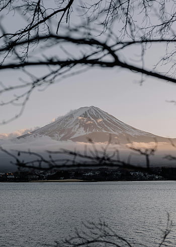 Mount Fuji, zimní, Japonsko, větve stromů, soumrak, klidná krása, Elegantní pohled, zasněžené hory, přírodní krajina, pohled, klidné scény