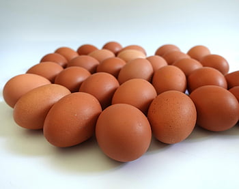 vejce, jídlo, velikonoční, kuřecí vejce, hnědá vejce, organický, protein, snídaně, přísada, drůbež, kuchyně