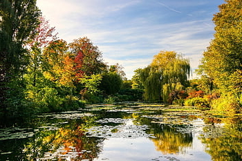 giverny, monet, zahrada, Příroda, rostlina, květinové květiny, Francie, voda, japonský, květ, Nymfy