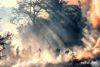 firemen, fire, smoke, rescue, brave, hero's, spanish Lookout Fire Department, spanish Lookout, grass Fire, forest Fire, dangerous