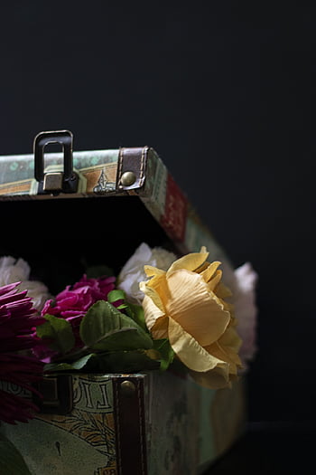 purple, red, nature, beautiful Flowers, flowers, case, luggage, suitcase, travel, briefcase, baggage