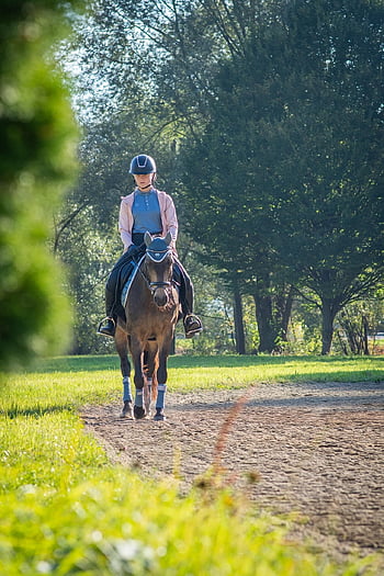 horseback Riding, nature, equestrian, horse, pony, riding Horse, riding Pony