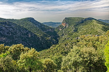 Spagna, andalusia, Provincia di Cadice, Palomano Puerto de Las, Sierra de Grazalema, Parco Naturale, paesaggio, natura, montagne, collina, verde