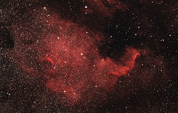 nebulosa del Nord America, NGC7000, Immagine DSLR, astrofotografia, Skywatcher esprit 100 apo, canone 6d, Cielo profondo, Pixinsight, Knight Observatory, tomar, stelle