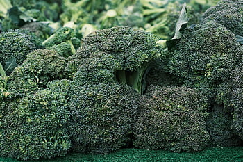 brokolice, zeleniny, jídlo, vitamín, čerstvý, zdravý, vegan, vegetariánský, zavřít, trh, drsný