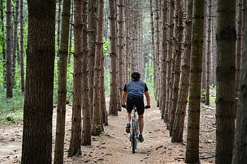 person riding bicycle, cyclist, scenic trail, dense forest, Ausable Chasm, NY, forest path, outdoor cycling, nature ride, tree-lined path, adventure biking