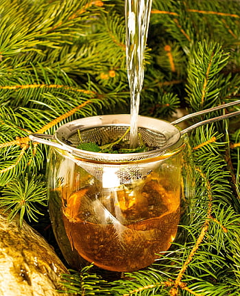 Tee, Getränk, heiß, Frühstück, Teekanne, Kräuter, Entspannung, Tasse, Geschirr, Café, ruhig