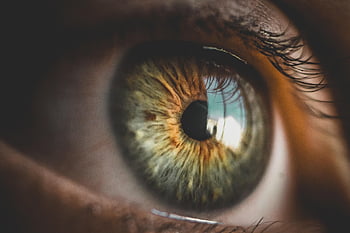 eye, close Up, vision, macro