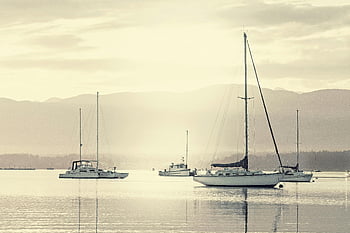 barche a vela, andare in barca, mare, cielo, sereno, porto, alba, acque calme, riflessione, Barche, montagne