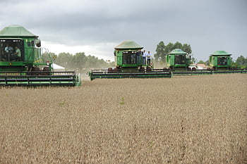 zelený traktor, hnědé pole, kombinuje, sklizeň sóji, Brazilské pole, Zemědělské stroje, v práci