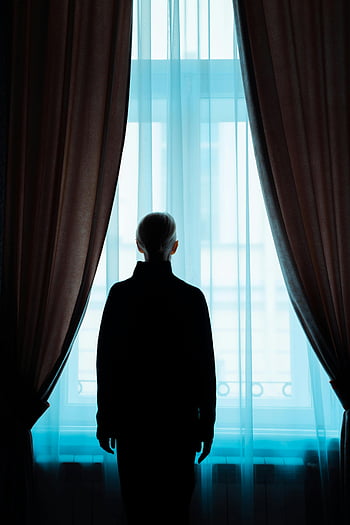 silhouette, donna, in piedi, finestra, drammatico, contemplativo, scena, vista posteriore, le tende, interno, illuminazione
