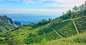 Čertovo schodiště, hd tapetu, Pohoří Srí Lanka, Srí Lanka Tea Estate, kopec, vrchol, mac tapetu, Skála, scenérie, pozadí oblohy, les