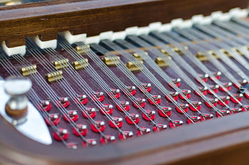 closeup photography, instrument strings, detailed shot, stringed musical instrument, tuning pegs, strings, musical instrument details, close-up shot, string instrument, musical strings, tuning details