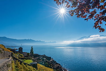 lavaux, lake Geneva, switzerland, landscape, canton Of Vaud, vaud, lake, wine Terraces, nature