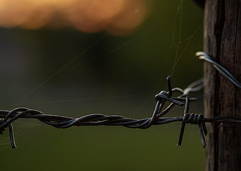 fence, barbed Wire, barbed Wire Fence, bokeh, nature, sunset, autumn, wire, autum, barbed, helloween