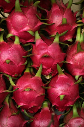 Drachenfrüchte, Nahaufnahme, Frische Drachenfrüchte, Stillleben, Textur, Farbe, pitaya, exotische Früchte, leuchtende Farben, Fruchtphotographie, gesundes Essen