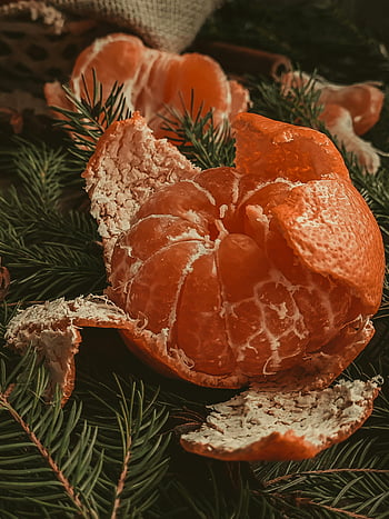 oloupané citrusové plody, loupaná mandarinka, Vibrující citrus, Citrusová svěžest, detailní záběr na mandarinku, borové větve, Čerstvá mandarinka, citrusové ovoce, mandarinková slupka, citrusová kůra, jehličí