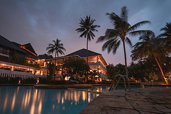 palmy, noc, tropický resort, plavecký bazén, soumrak, Klidná dovolená, luxusní resort, večerní scéna, venkovní bazén, Osvětlení letoviska, siluety palmy