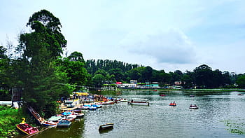 yercaud, tamil nadu, σπίτι σκαφών, μεγάλη λίμνη, θέα στη λίμνη, σκάφος, βαρκάδα, Shevroy Hills, σταθμό λόφων, salesm, Ινδία