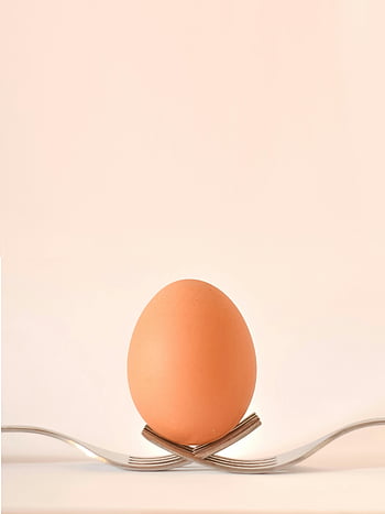 egg, gray stainless steel forks, minimalist style, simplicity, single egg, crossed forks, egg on forks, modern design, kitchen utensils, food photography, still life