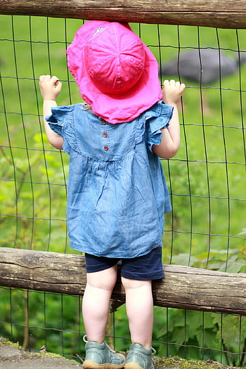 dítě, zoo, malé dítě, roztomilý, zvědavý, nevinný, dívka, zadní, hodinky, farley, Ohrada