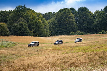terénní vozidlo, Land Rover, džíp, terénní, automobil, 4wd, objev, kovboj, honák, Karpaty, obránce, dobrodružství