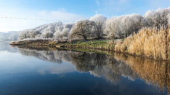 winter, lake, trees, landscape, snow, cold, frost, reflection, water, hoarfrost, scenic