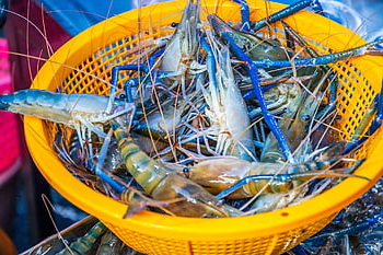 krevety, Ryba, scampi, plody moře, rybí pokrm, jídlo, báječný, potravin, výživa, trh, rybí trh