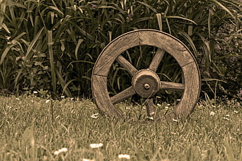 hnědé dřevěné kolo, zelená tráva, SIPIA TONED OBRAZ, starožitné dřevěné kolo, listové rostliny, venkovní scénu, rustikální kolo, přírodní prostředí, Vintage kolo, zahradní výzdoba, travnatá plocha