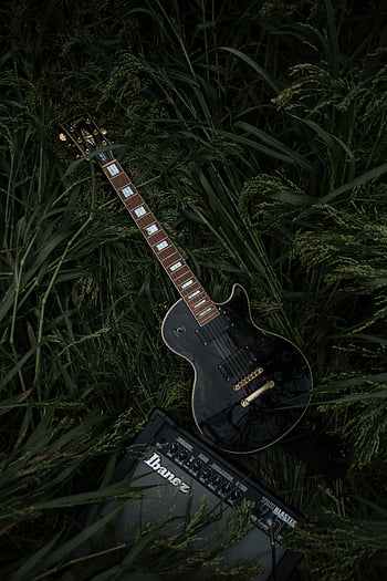 black electric guitar, Ibanez amplifier, lush meadow, grass, outdoor music, guitar and speaker, electric guitar, amplifier, nature, music equipment, outdoor setting