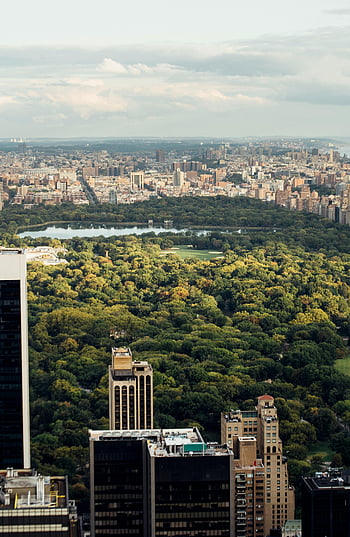 中央公園、 ニューヨーク市、 マンハッタンのスカイライン、 空撮、 高層ビル、 都市景観、 緑地、 街並み、 囲まれた公園、 市の自然