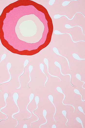 ilustrace oplodnění, spermie, vejce, růžové pozadí, abstraktní umění, reprodukční proces, kreativní design, biologický koncept, Reprodukce člověka, oocyt
