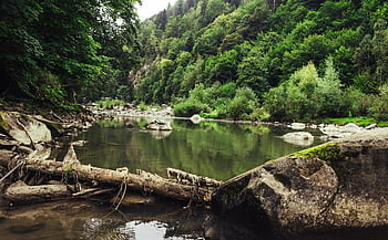 river, lake, forest, carpathians, carpathian Mountains, woods, stream, landscape, nature, environment, ecology