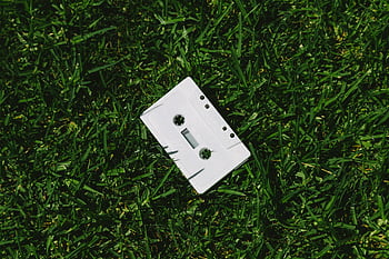 white cassette tape, grass, vintage, outdoor, sunny day, green grass, cassette, retro, music, nature, summer