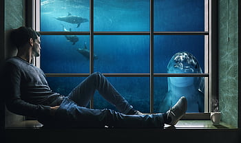 photoshop, fantasy, beginners, photoshop Tutorial German, dolphin, underwater, sea, dolphins, water, fish, swim