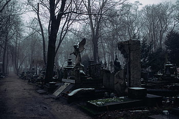 stary cmentarz, gołe drzewa, Foggy Cemetery, nagrobki, ponura atmosfera, tajemnicza atmosfera, scena cmentarza, Cmentarz zimowy, Ścieżka cmentarza, Posągi Cmentarne, mgła cmentarza