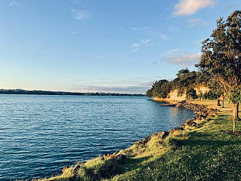オークランド、 湖sideの景色、 清水、 緑豊かな緑、 自然の背景、 平和な湖、 美しい景色、 屋外の風景、 自然の美、 ウォーターフロント、 緑の草