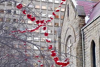 remembrance Day, veteran's Day, poppy, church, lest We Forget, tree, red, snow, cross, gray Cross
