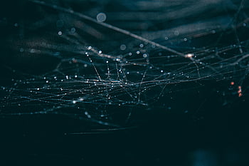 pavučiny, detail, orosený, tmavé pozadí, složitý, mystický, náladová atmosféra, Detaily pavučiny, Textura pavučiny, Spider Web detail-up, pavoučí webová fotografie
