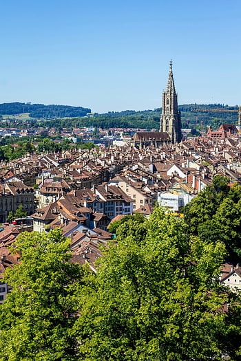 stadsgezicht van Bern, Bern Minster, historische architectuur, levendige zomer, luchtfoto, Zwitserse stad, Bern Zwitserland, Stedelijk landschap, oude stad Bern, zomers stadsgezicht, Europees stadsgezicht
