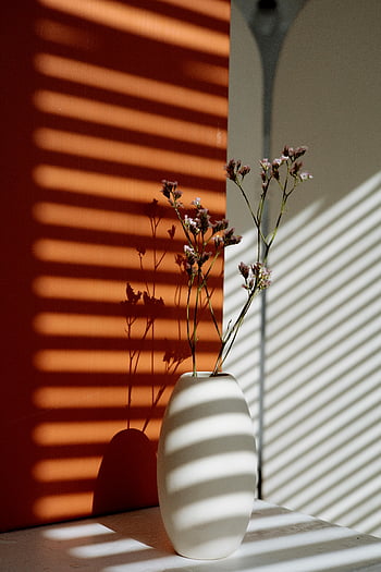 fiori delicati, Vaso elegante, stanza luminosa, vaso bianco, Modelli di luce solare, sfondo rosso, ombre cinesi, fiori al coperto, composizione floreale, luce naturale, arredamento minimalista