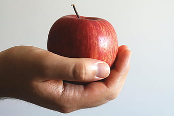 roter Apfel, Nahaufnahmefoto, Hand hält Apfel, reifer Apfel, gesundes Essen, Frische, Nahaufnahme Bild, rote Früchte, Apple in der Hand, frischer Apfel