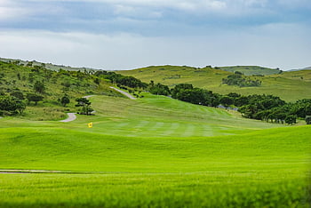 golf, golf Course, golfing, turf, sports, nature, grass, fairway, green, hole, sport