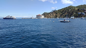 avalon, catalina νησί, Καλιφόρνια, νερό, αγκυροβολημένο, Λιμάνι, σκαφών, θεαματικός, σε εξωτερικό χώρο, μαρίνα