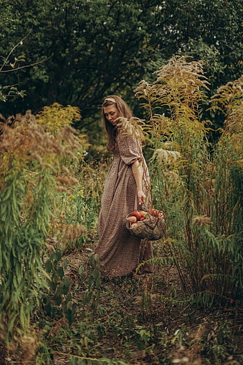 woman, basket, apples, field, autumn garden, harvest season, serene, lush, peaceful scene, collecting apples, graceful