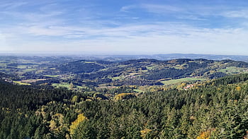 sankt englmar, Příroda, cestovat, lesní strom horní stezka, průzkum, venku, niederbayern, okres Straubing-bogen, bavaria, Německo, panoráma