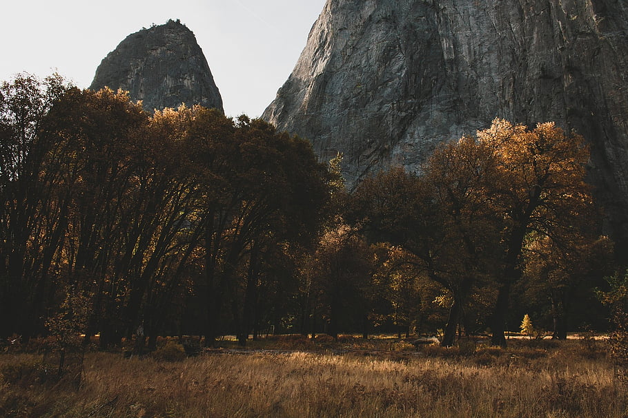 Natur, Yosemite, Nationalpark, Kalifornien, Landschaft, Berge, Tal, Wildnis, Bäume, Wald, Strom