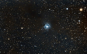 Iris Nebula, Wide Field, Astrophotography, Williams Optics ZenithStar, ZWO ASI 183MC Pro, Optolong L-Pro, ZWO ASIAIR Plus, April 2022, 7 hours 58 minutes, Dark Sky, Star Cluster